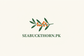 Seabuckthorn.pk - Home