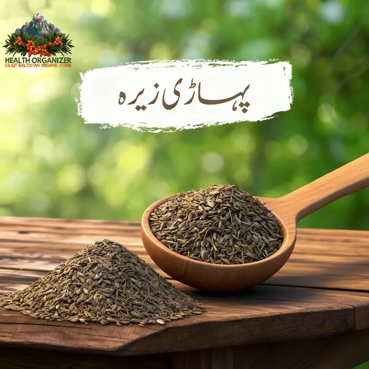cumin ( zeera seeds )