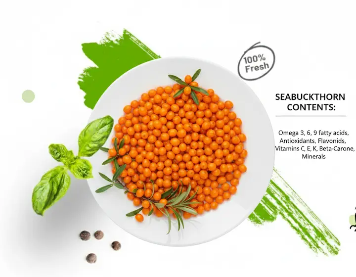 original seabuckthorn