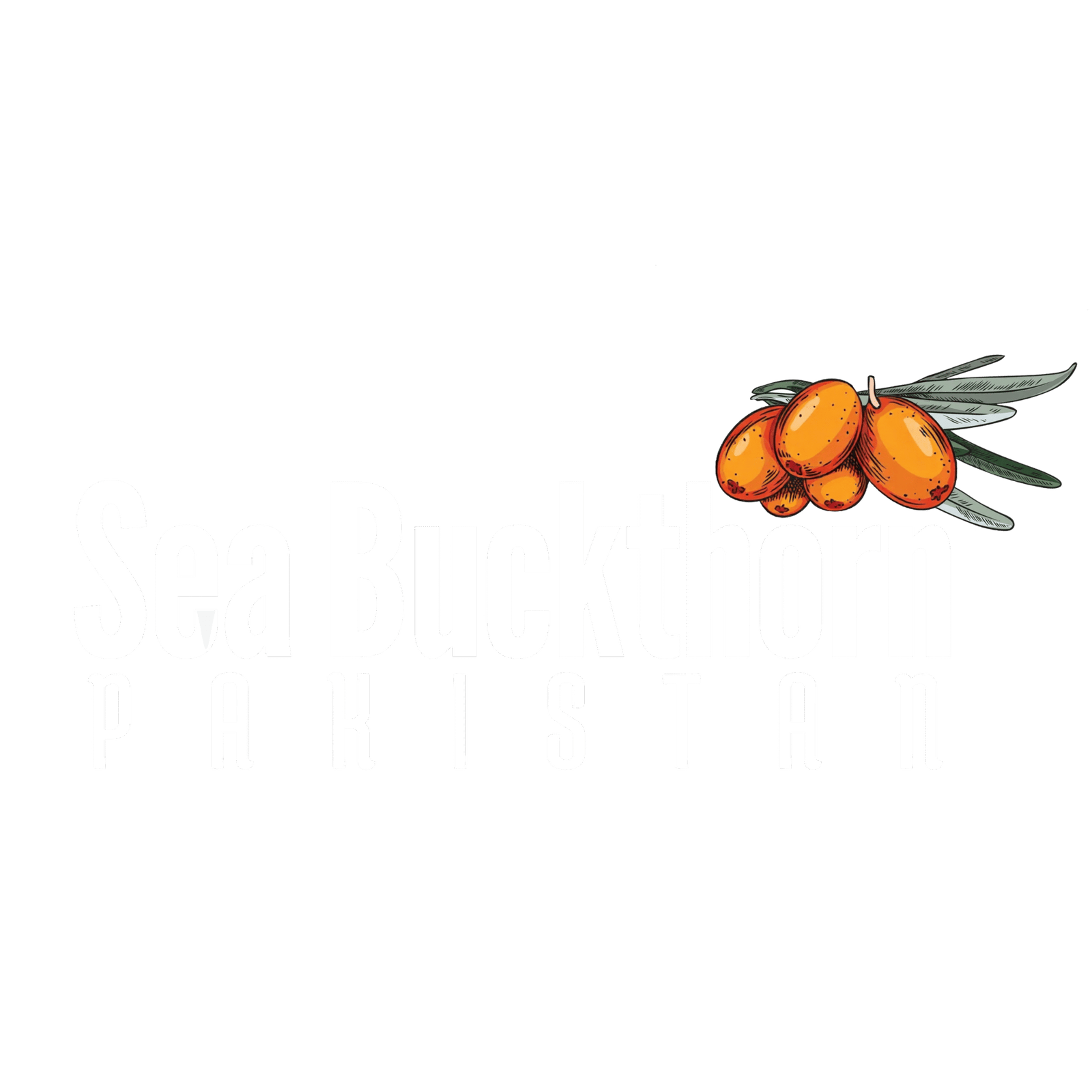 Sea Buckthorn Pakistan